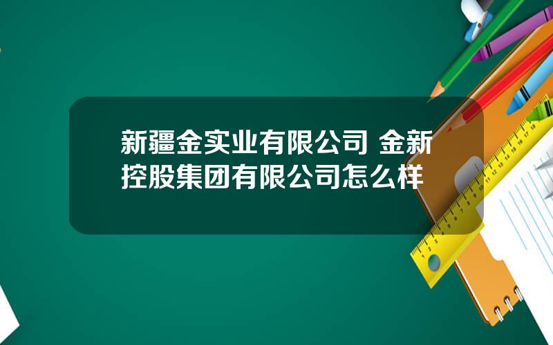 新疆金实业有限公司 金新控股集团有限公司怎么样